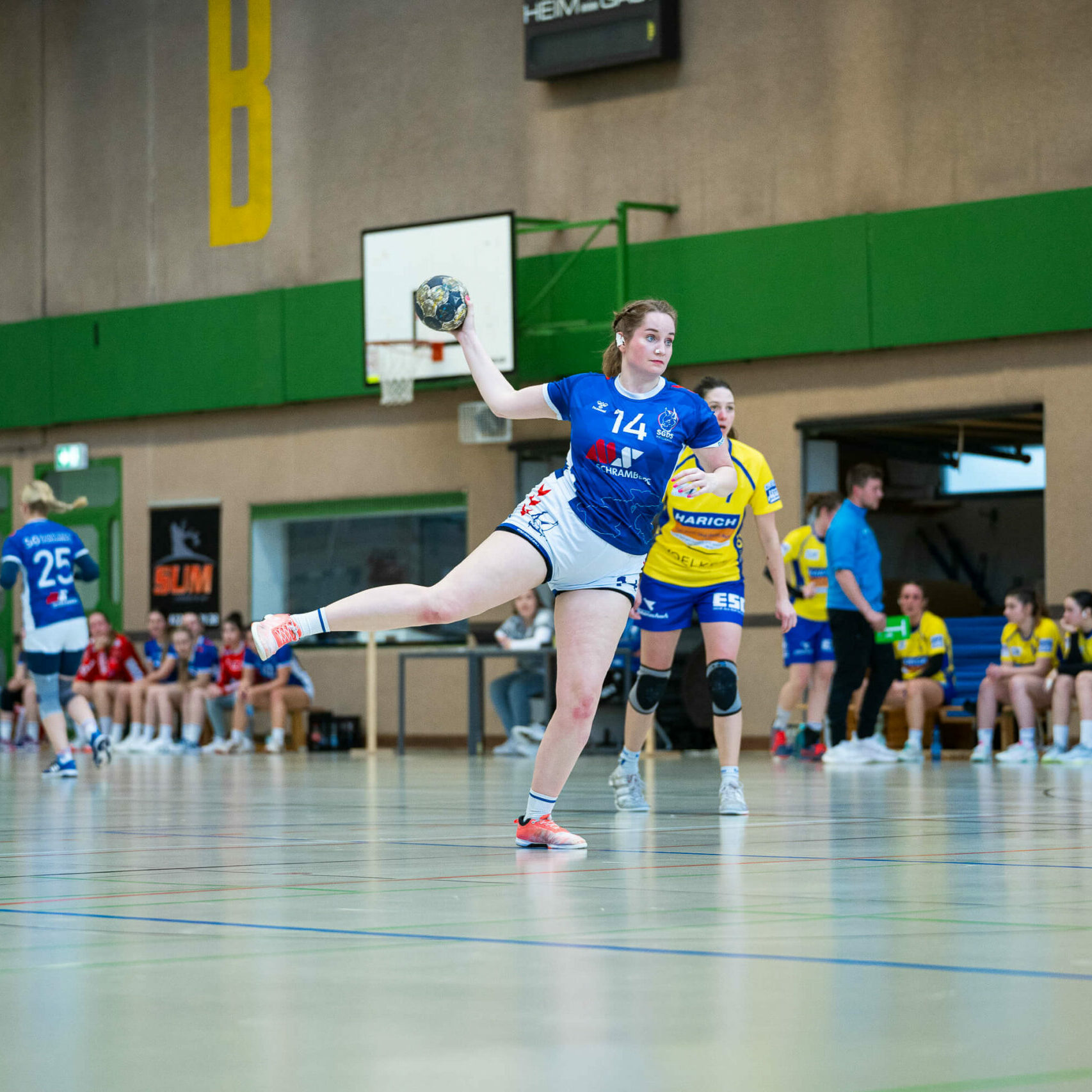 Handball | SGDS Damen II